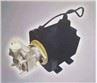 Electric Steering Fuel Pump